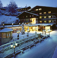 Hotel photo Saalbacher Hof 4*