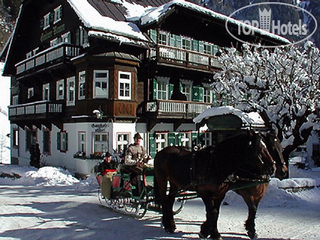 Фотографии отельера Gruner Baum 4*