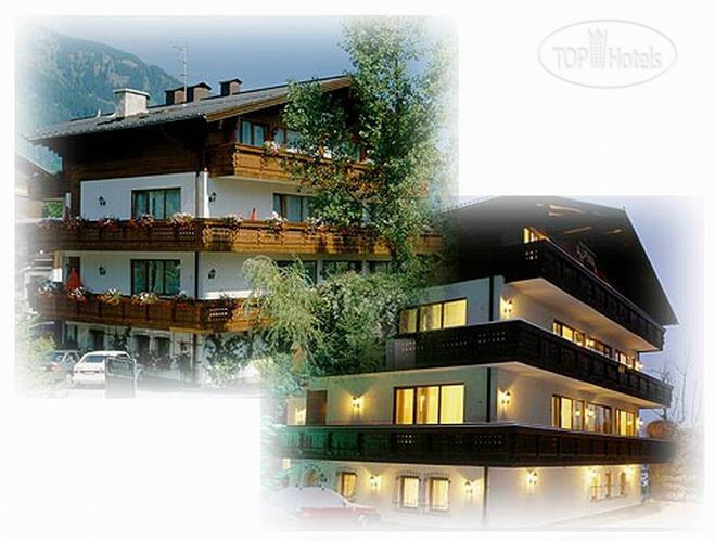 Hotel photo Alpina Apart 3*