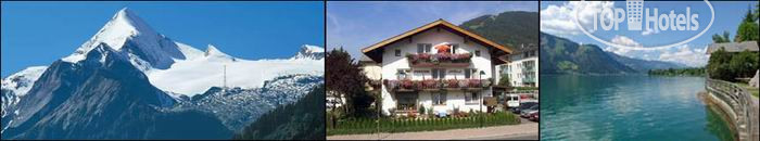 Hotel photo Albert 2*