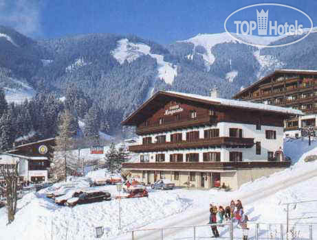 Hotel photo Pension Margarethe 3*