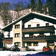Hotelier's photos Pension Riedlsperger 3*