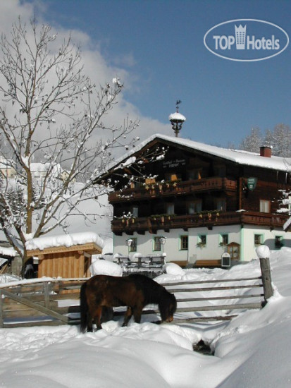 Hotelier's photos Gast- und Reiterhof Nigglgut