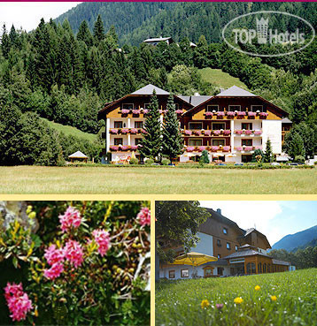 Hotel photo Almrausch 4*