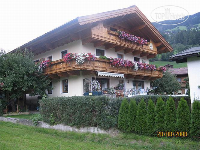 Hotelier's photos Egger C2 2*