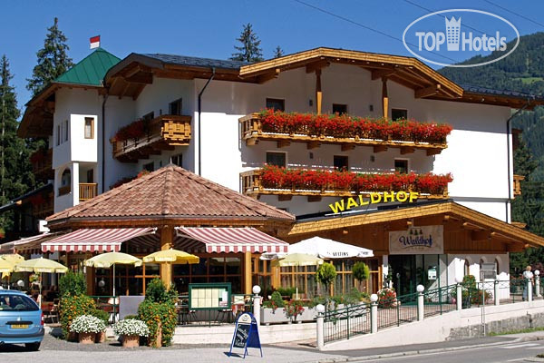 Hotel photo Aktivhotel Waldhof 4*