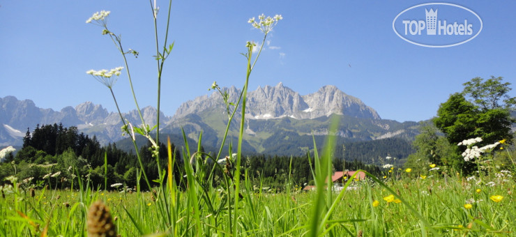 New photos from tourists Pension Rainhof 3*