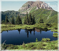 New photos from tourists Brauns 3*