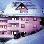Hotel photo Brigitte 4*