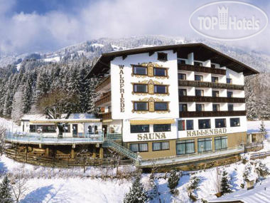 New photos from tourists Waldfriede 4*