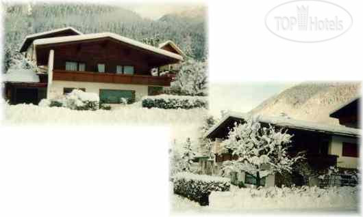 New photos from tourists Pension Sailer 2*