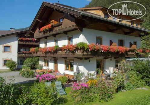 Hotelier's photos Elisabeth Pension 3*