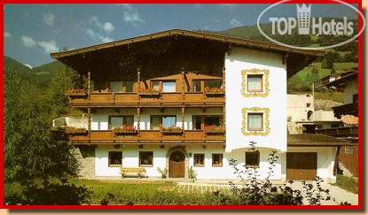 Hotelier's photos Alpina 3*
