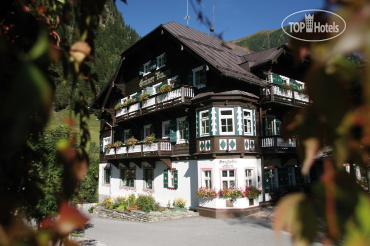 New photos from tourists Gruner Baum 4*