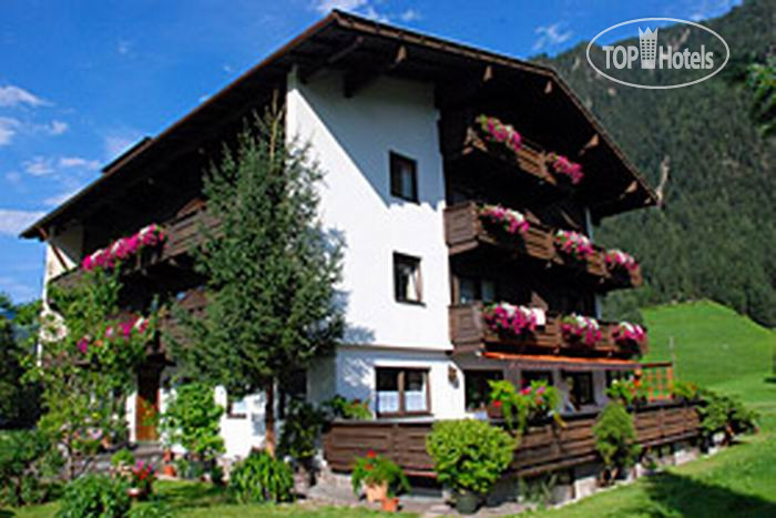 Hotelier's photos Apart-Garni Alpevita