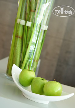 New photos from tourists Austria Trend Hotel Zoo Wien 4*
