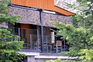 Photos Palome
