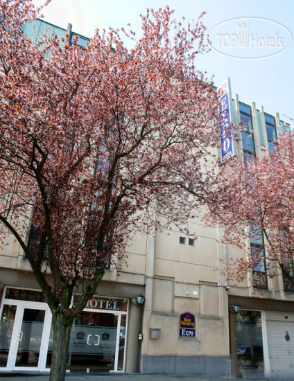 New photos from tourists Hotel Expo 3*