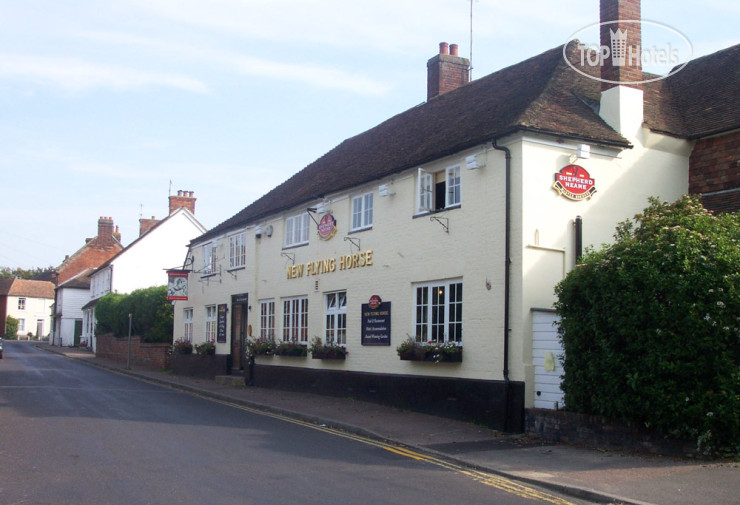 Фото New Flying Horse