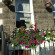 Photos Sherwood Guest House