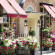 Фото Blandford