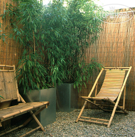 New photos from tourists No 5 Maddox Street 3*