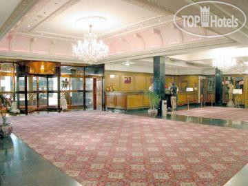 New photos from tourists Britannia International 4*