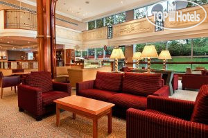 New photos from tourists Hilton Croydon 4*