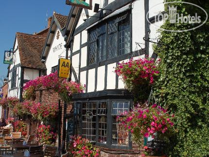 Photos The White Swan