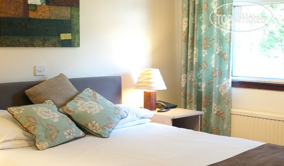 New photos from tourists King Robert 3*