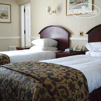New photos from tourists Best Western Scores Hotel 3*