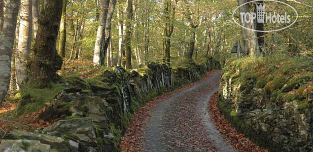 New photos from tourists Ynyshir Hall 5*