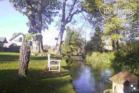New photos from tourists Mallards In Overton 5*