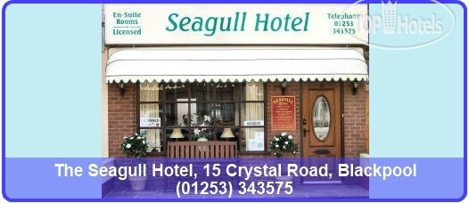 New photos from tourists The Seagull Hotel