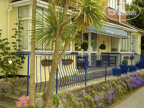 Hotel photo The Capri Guest House 4*
