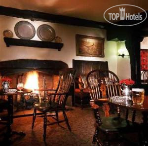 New photos from tourists Macdonald Bear 4*