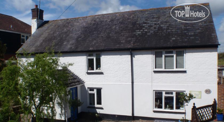 New photos from tourists Plum Tree Cottage B&B