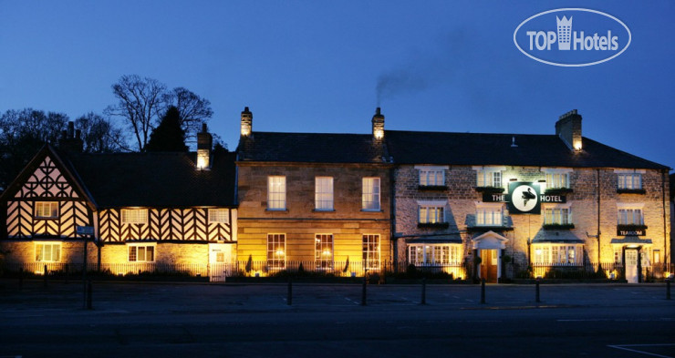 Hotelier's photos Black Swan 3*