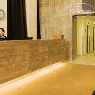 Photos Auckland Harbour Oaks