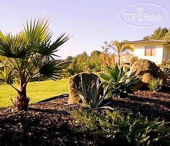 New photos from tourists Avalon Resort 5*