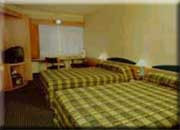 New photos from tourists Ibis Wellington 3*