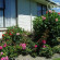 Фото Econo Lodge Canterbury Court