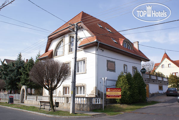 Hotel photo Amadeus Villa 