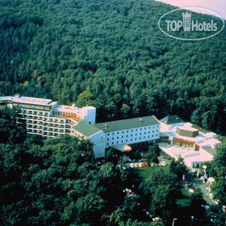 Фото Hotel Lover