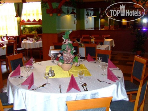 New photos from tourists Aquaticum Thermal and Wellness Hotel 4*