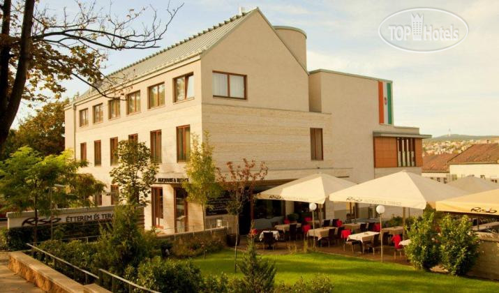 Hotel photo Castle Garden 4*