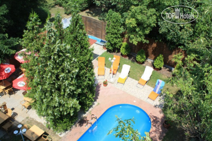 New photos from tourists Papillon Hotel 3*