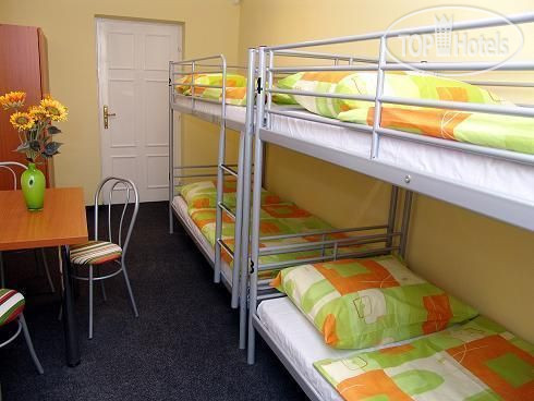 New photos from tourists Domino Hostel