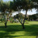 Фото Zorbas Village Hotel