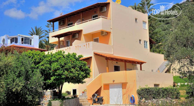 Photos Anemoni Studios